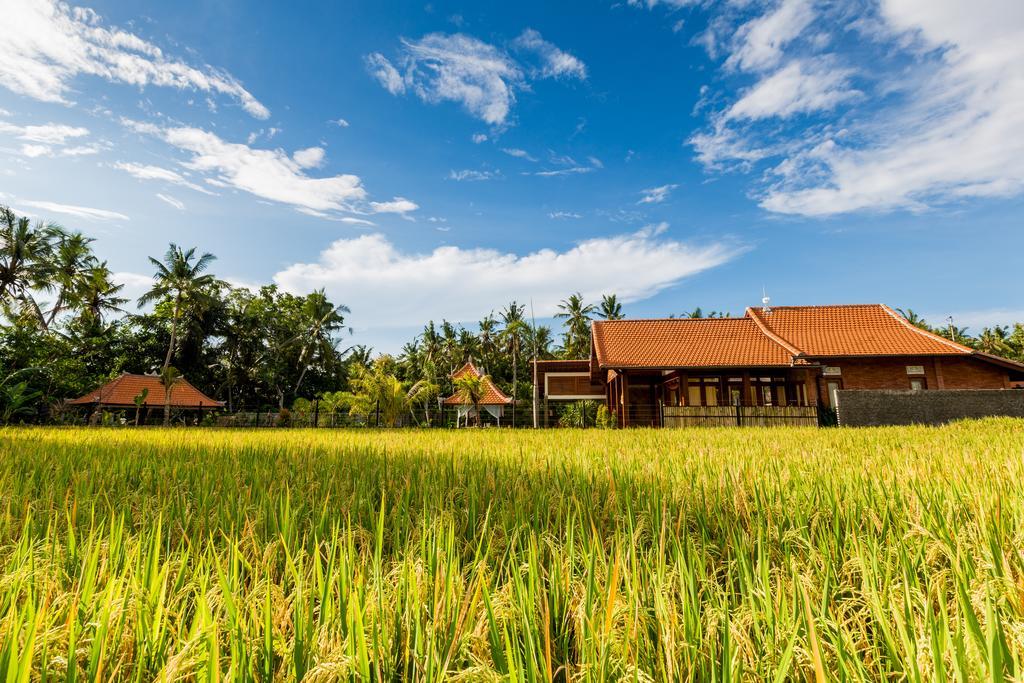 Maluhia Haven Villa Ubud Exterior foto